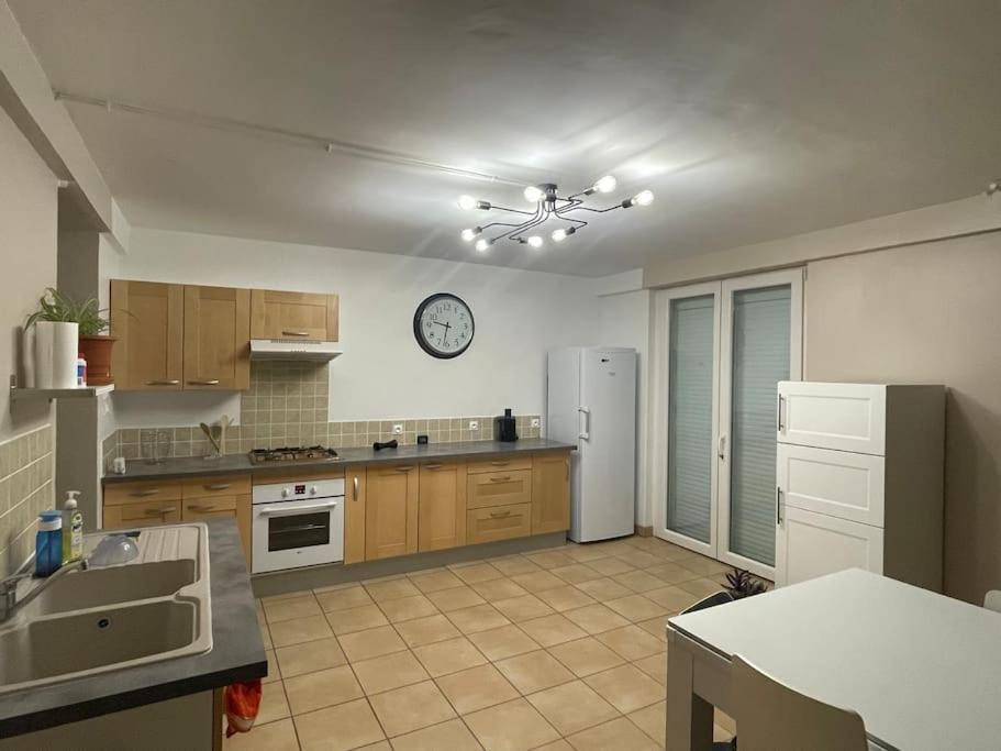 Appartement Independant En Rdc Chez Habitant Lannemezan Eksteriør billede