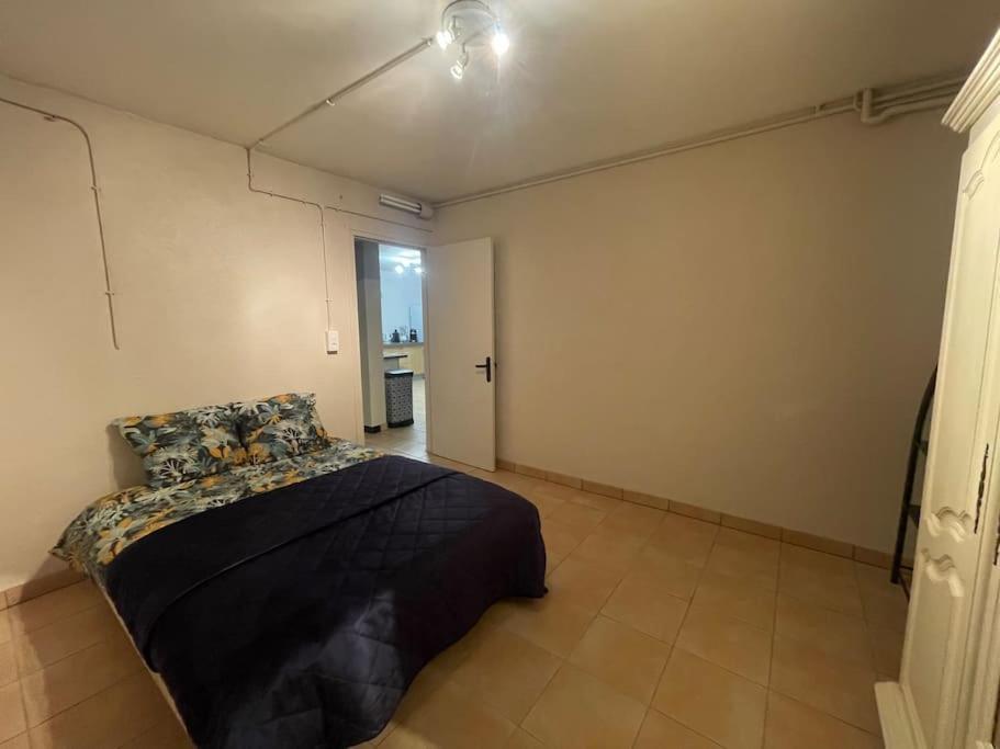 Appartement Independant En Rdc Chez Habitant Lannemezan Eksteriør billede